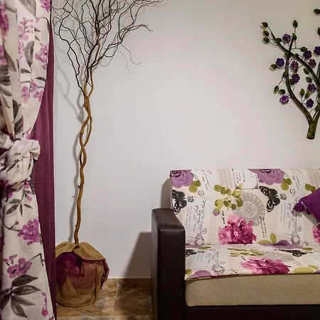 Simon King Apartamento *