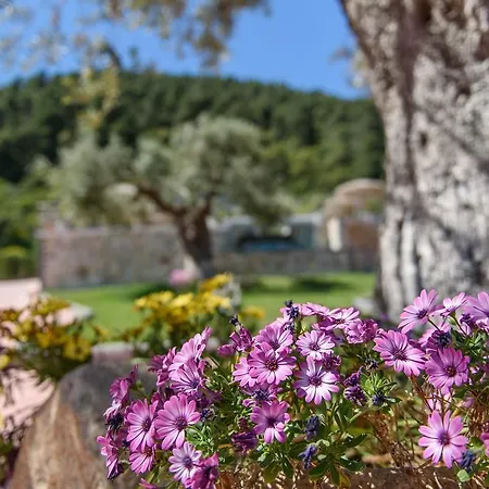 Apartmán Simon King *