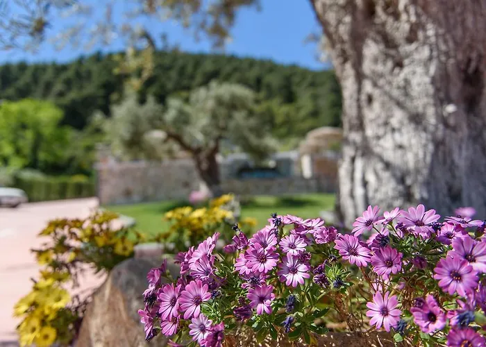 Appartement Simon King *